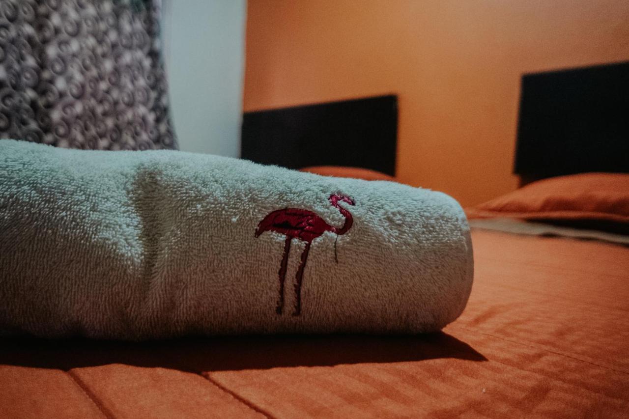 Bungalows Flamingos رينكون دي غوايابيتوس المظهر الخارجي الصورة